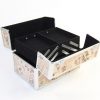 Chic Makeup Storage Box Suitcase - Hot Sale Multi-Color Organizer for Cosmetics and Jewelry