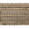 happimess Elijah 30" Wicker Storage Trunk