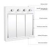Design House 24-Inch Concord Ready-To-Assemble 3 Light Medicine Cabinet