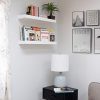 Wallniture Modern Floating Shelf Tray Wall Mount Home Decor