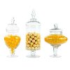 Koyal Wholesale Apothecary Glass Jars, Couture, Large Canisters Set of 3