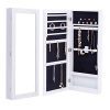 WATERJOY Mirror Jewelry Cabinet, Lockable Wall/Door Mounted Storage