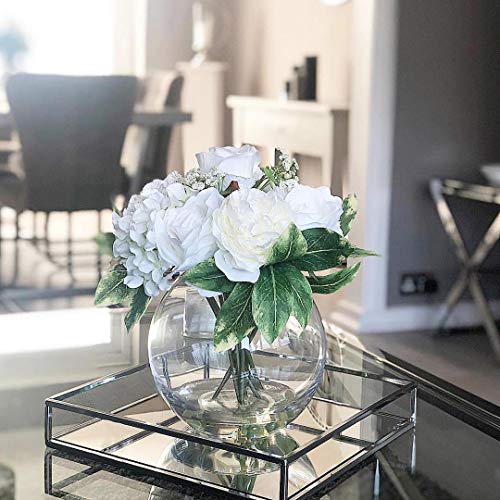 Le'raze Beautiful Mirrored Tray with Chrome Rails