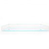 JR William Modern Tray Iridescent and Crystal Clear Small Acrylic Tray