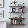 Homissue 4-Shelf Rustic Pipe Shelving Unit, Metal Decorative Accent Wall