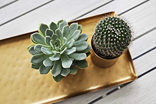 Alchemade Antique Brass Tray with Large Hammering