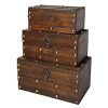 Soul & Lane Monahan Wooden Trunk Chests (Set of 3)