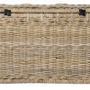 happimess Michael 35" Wicker Storage Trunk