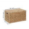 eHemco Heavy Duty Water Hyacinth Trunk in Natural Color