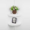 HAO Set of 2 Classic Radial Corner Wall Shelf Contoured Shelving