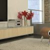 Transform Your Space with d-c-fix Maple Wood Self-Adhesive Film: Ideal for Walls, Furniture, and DIY Home Decor
