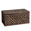 Southern Enterprises Storage Trunk, Blackwashed