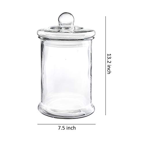 1.25 Gal Glass Apothecary Jar 7.5X13.2 Inch Canister Set