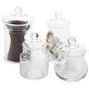 MyGift Set of 4 Clear Glass Apothecary Jars