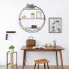 Decor with king do way Round Wall Shelf – Instagram Style Circle Cabinets for a Trendy and Functional Space! 🏡🔄