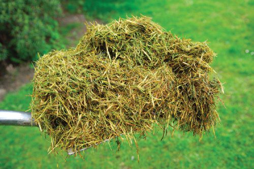Panacea Products Compost Bin, 30-Inch Height by 36-Inch