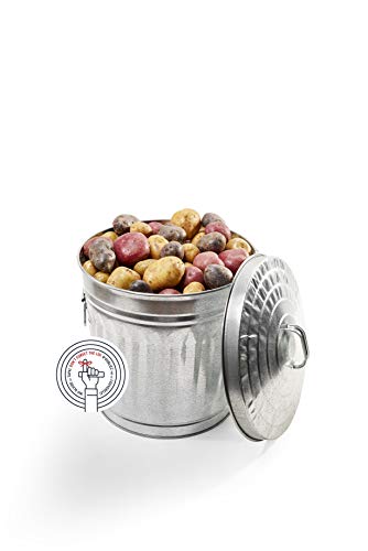 Behrens Manufacturing Galvanized Steel Trash Can