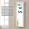 GISSAR Jewelry Mirror Armoire Wall Mount Over The Door Mirror Jewelry Cabinet