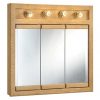 Design House Mirrors/Medicine Cabinets