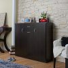 ioHOMES Darrion Modern 10-Shelf Shoe Cabinet