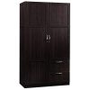 Sauder Storage Cabinet, Cinnamon Cherry finish