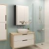 B&C 20"x26"Aluminum Medicine Cabinet with Mirror|Color Black