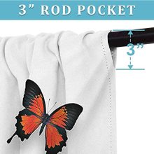 funkky Butterfly Soft Curtain Various Colorful Butterflies Pattern and Moths