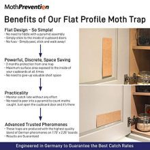 West Bay Retail | Pantry Moth Killer KIT - Natural Moth Killer Kit