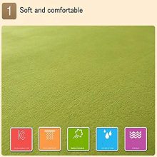 Dragonfly Large Area Rug 5'x8' Provides Protection and Cushion