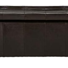 Christopher Knight Home Living James Brown Tufted Leather Armed Storage