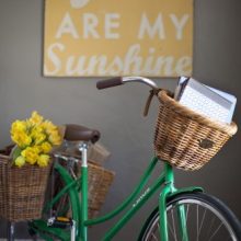 Nantucket Bicycle Basket Co. Cisco Pannier Basket