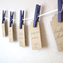 Just Artifacts 2.75-inch Craft Wood Clothespins/Peg Pins