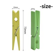 30 Pieces Large Wooden Clips, 2.9 Inch Colorful Photo Paper Clip Clothespins