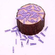 50 PCS Small Transparent Plastic Tool Paper Clips Clothespins Clip Clothing Line Clip