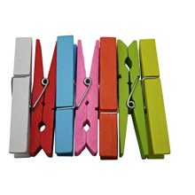Wood Craft Clothespins Pegs with Spring 2.9"