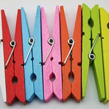 Wood Craft Clothespins Pegs with Spring 2.9"
