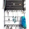 Mango Steam Wall-Mounted Jewelry & Earring Organizer