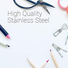 FJCTER 40 Pack Stainless Steel Clothes Pins 2 Inch Durable Clothes Pegs