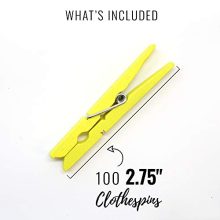 Just Artifacts 2.75-inch Craft Wood Clothespins/Peg Pins