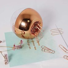 Buqoo Clear Sticky Memo Pad Holder 100 Rose Gold Magnetic Paper Clips Dispenser