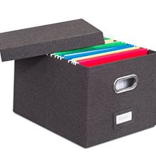 Internet's Best Collapsible File Storage Organizer with Lid