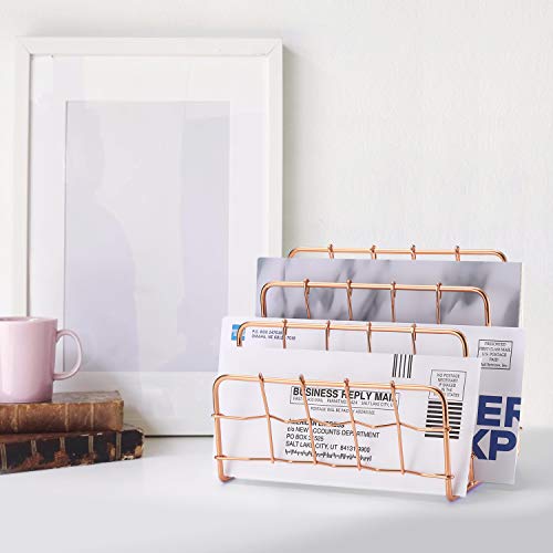 CAXXA 3 Slot Metal Desktop Letter Sorter, Mail Holder, Books Files Brochures
