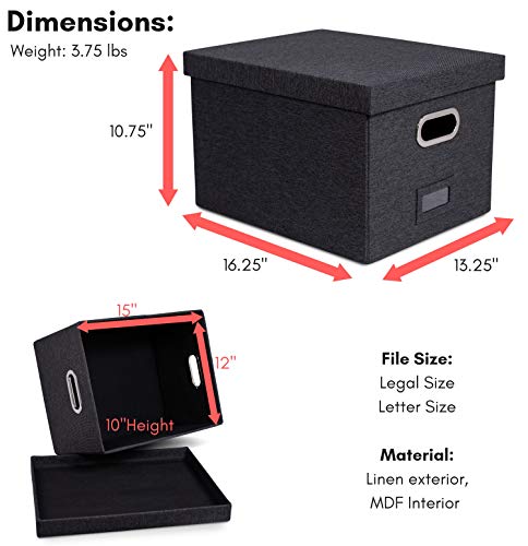 Internet's Best Collapsible File Storage Organizer with Lid