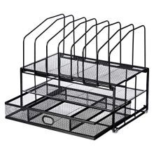 AmazonBasics Mesh Seven Slot File Organizer