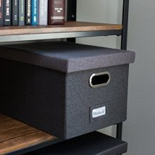 Internet's Best Collapsible File Storage Organizer with Lid