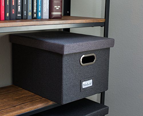 Internet's Best Collapsible File Storage Organizer with Lid