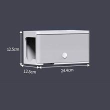 Multi-Function Hair Dryer Holder Storage Shelf