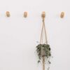 HomeDo Natural Wooden Coat Hooks Wall Mounted