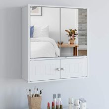 Medicine Cabinet with Doors and Adjustable Shelf