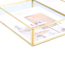 Sooyee Gold Tray Mirror, Rectangle Mirror Tray can Hold Perfume